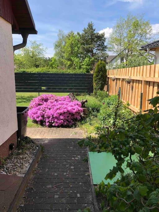 Gemuetlicher Bungalow In Cottbus - Sielow Esterno foto